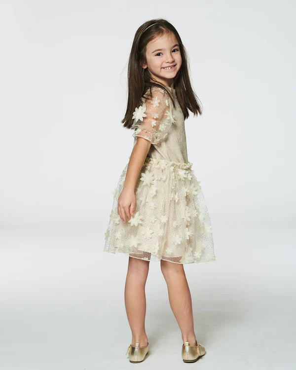 Girls Beige Floral Tulle Dress