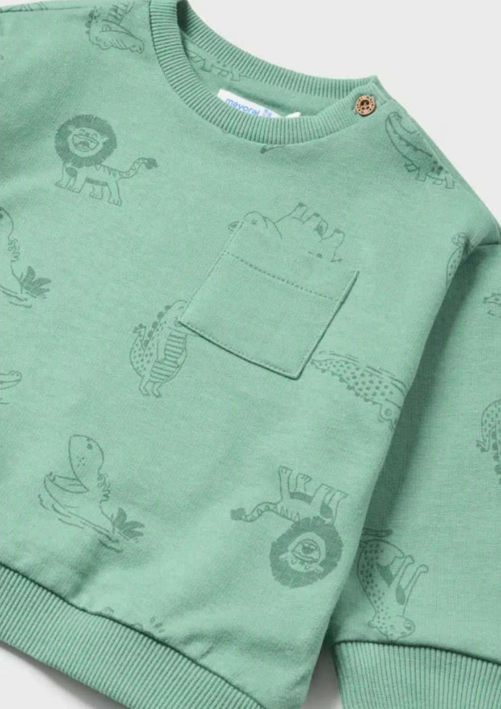Baby Boys Printed Sweatsuit