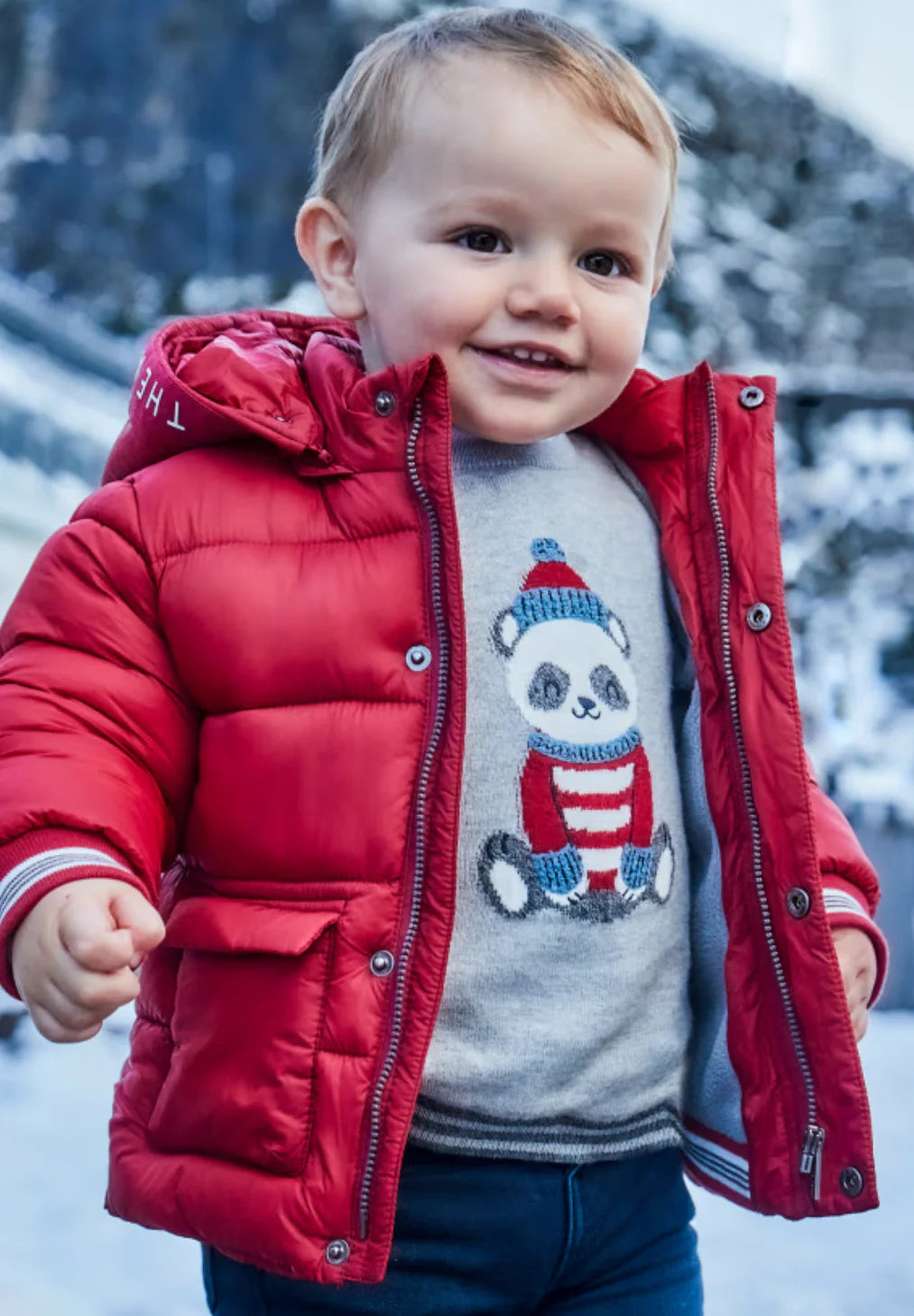 Baby Boys Knit Sweater