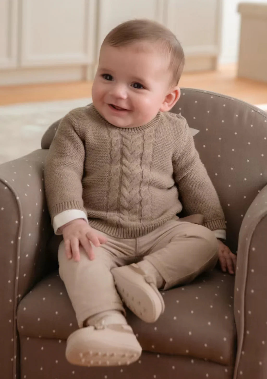 Baby Boys Brown Sweater