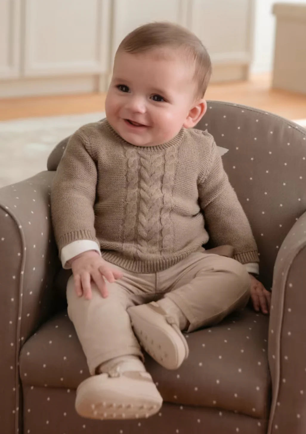 Baby Boys Brown Sweater