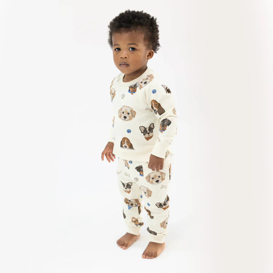 Baby Boys Jogger Set