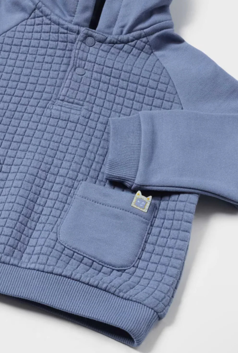 Baby Boys Hoodie & Pants