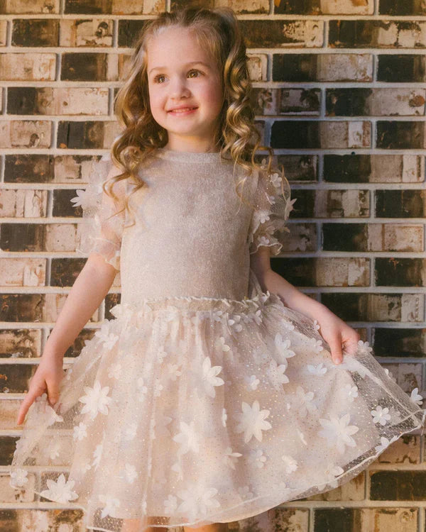 Girls Beige Floral Tulle Dress