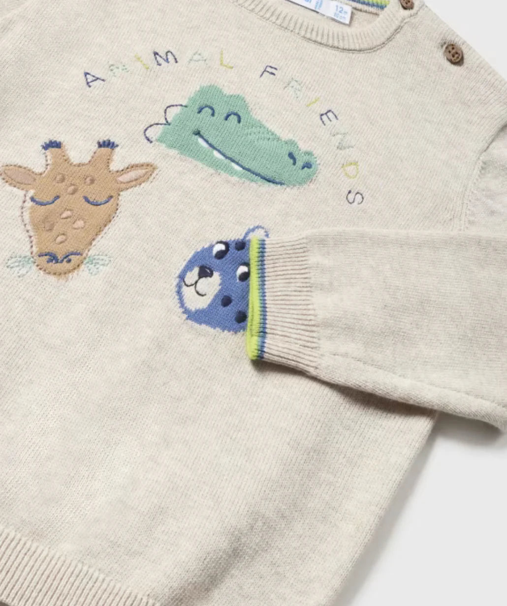 Baby Boys Beige Knit Sweater