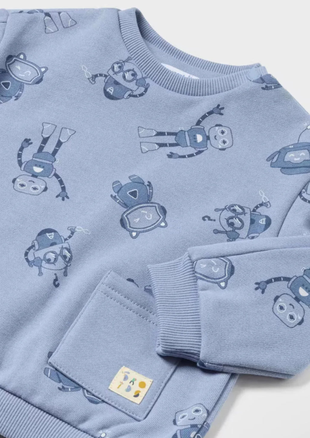 Baby Boys Sweatshirt & Pants