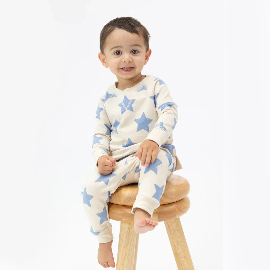 Baby Boys Jogger Set