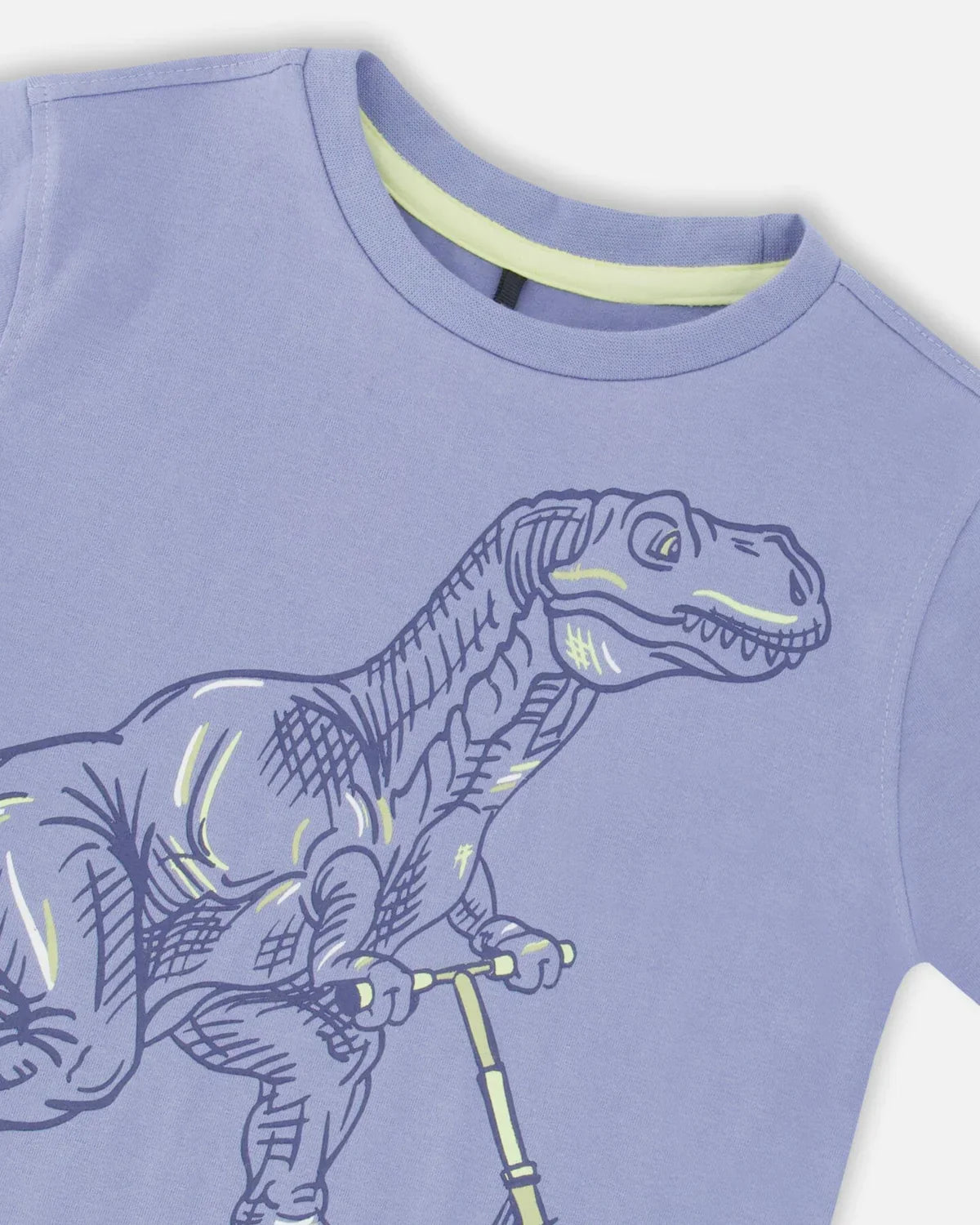 Boys Blue Dinosaur Print Top