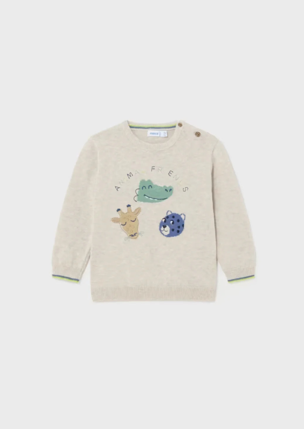 Baby Boys Beige Knit Sweater