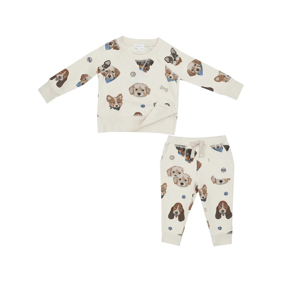 Baby Boys Jogger Set